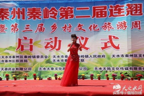 秦嶺連翹花開迎客來，秦州文旅融合繪新篇——第二屆連翹旅游節暨第三屆鄉村文化旅游周盛大啟幕